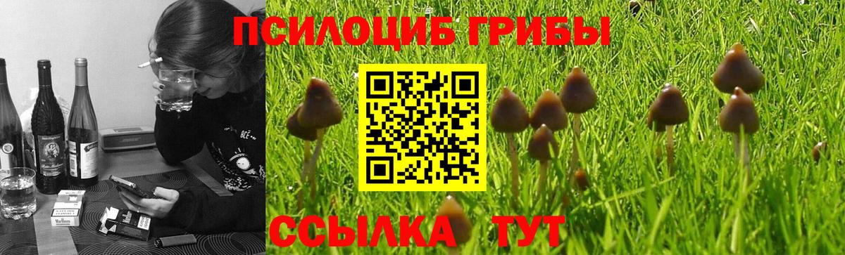 Галлюциногенные грибы Cubensis Людиново